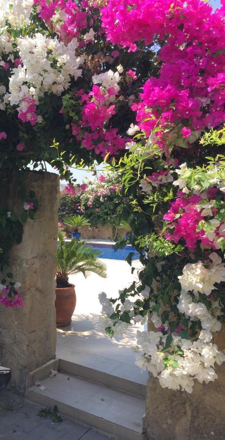 Casa Santos Kyrenia Villa Kyrenia  Bagian luar foto