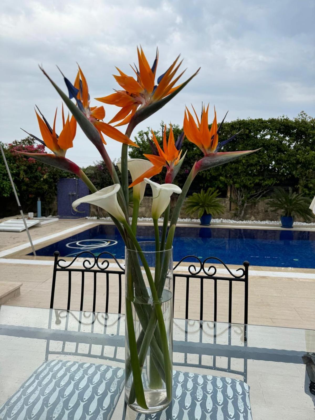 Casa Santos Kyrenia Villa Kyrenia  Bagian luar foto